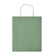image 1 of MidOcean Paper Tone Paper Gift Bag - Green - 21cm x 18cm x 8cm Green