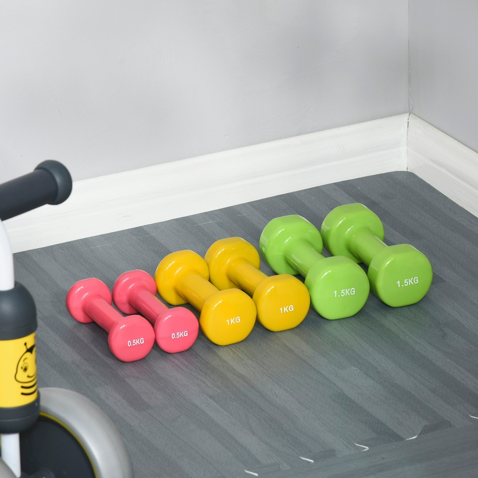 image 1 of HOMCOM 6kg Dumbbell Fitness Weights Set for Men and Women, Home Gym Workout