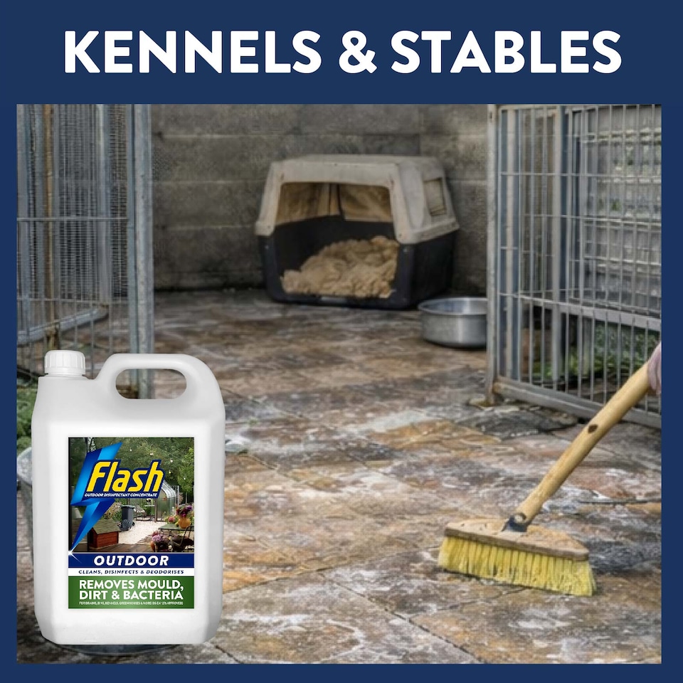image 1 of Flash Outdoor Disinfectant & Cleaner 5L