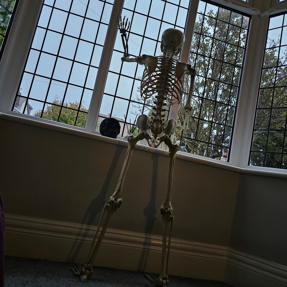 image 1 of 5ft (150cm) Posable Full Body Halloween LED Skeleton Decoration with Movable Joints and LED Eyes