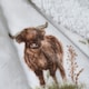 image 2 of Catherine Lansfield Angus Highland Cow Cosy Fleece 130x170cm Blanket Throw Natural | Cream | Natural | One Size
