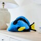 image 5 of Warmies Blue Tang Plush Microwaveable Weighted Cuddly Toy