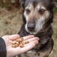 image 3 of Pero Natural Dog Treats - Duck Bites 1kg | Brown | 1kg | Duck | 1
