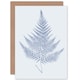 image 1 of Cobalt Blue on White Fern Eppusum Botanical Greeting Art Card