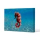 image 1 of Mediterranean Seahorse (Canvas Print)