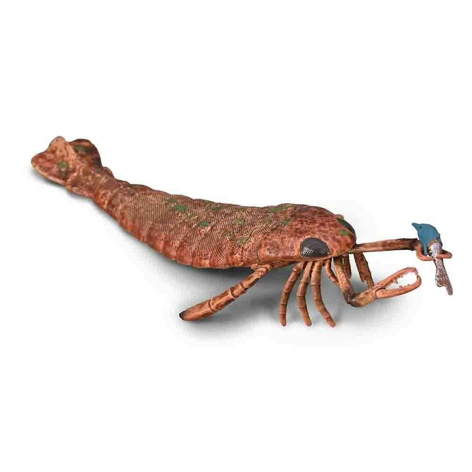Jaekelopterus with prey - 1:20 Scale