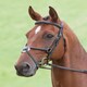 image 2 of Shires Salisbury Brackley Bridle Black | Size: Pony
Colour: Black