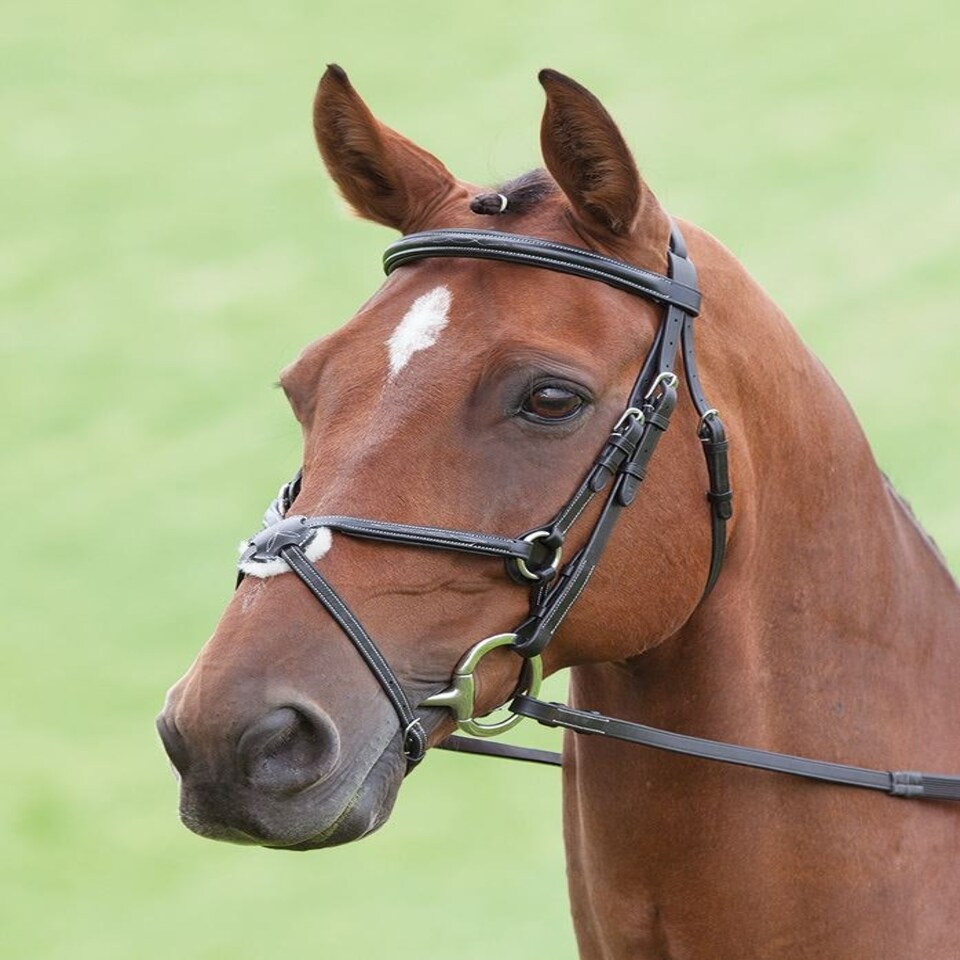 image 1 of Shires Salisbury Brackley Bridle Black | Size: Pony
Colour: Black
