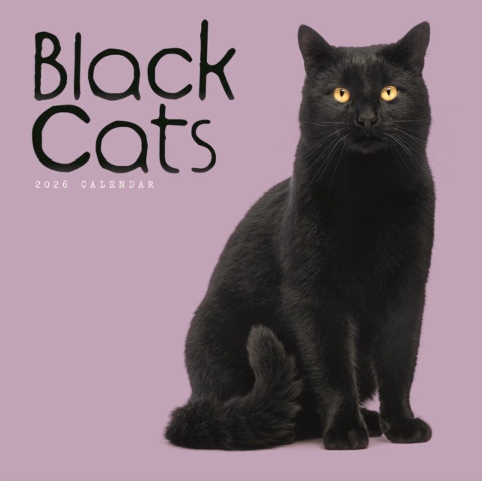 image 1 of Black Cats Square Wall Calendar 2026