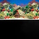 image 3 of Superfish Poster/Background #1 (Coral / Black)
