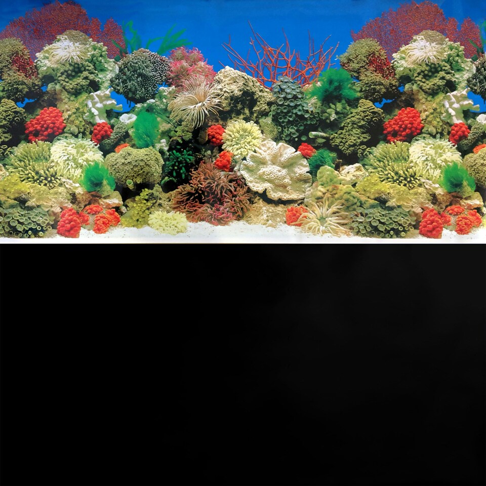 image 1 of Superfish Poster/Background #1 (Coral / Black)