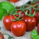 image 1 of Tomato Rubylicious 1 Seed Packet (20 Seeds)