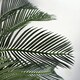 image 3 of Large Artificial Palm Tree 80cm Cycas Realistic Plant Leaf Design UK Botanik Green | One Size