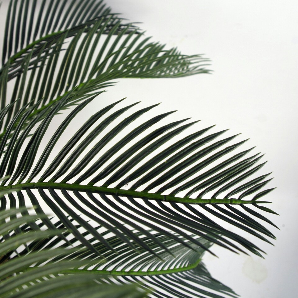 image 1 of Large Artificial Palm Tree 80cm Cycas Realistic Plant Leaf Design UK Botanik Green | One Size