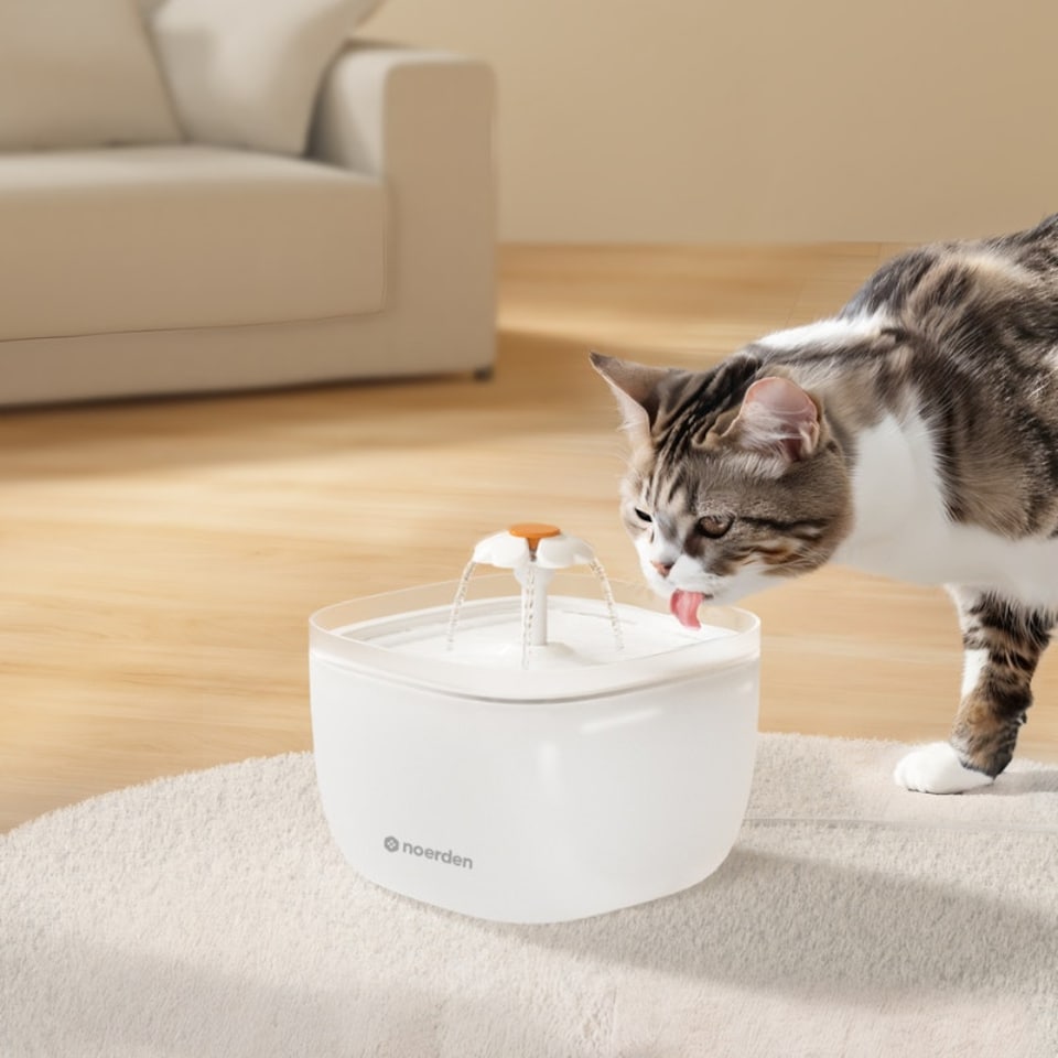 image 1 of PawQuench | White