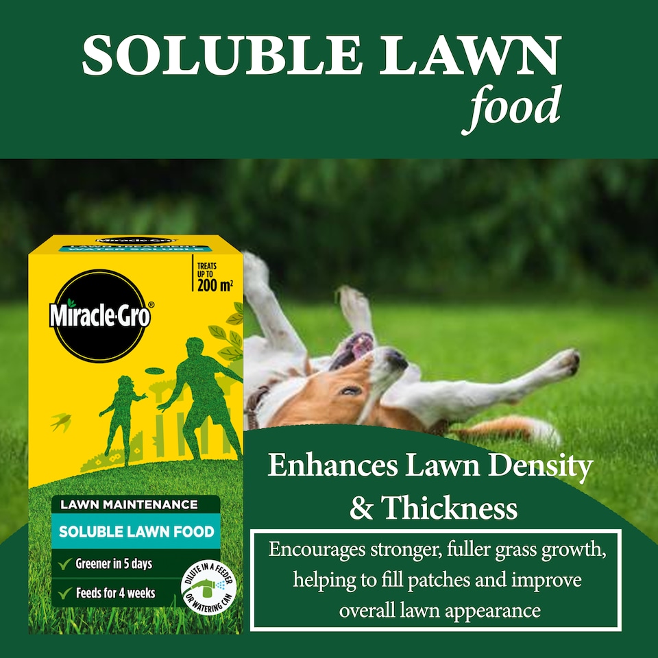 image 1 of Miracle Gro Water Soluble Lawn Food Richer Greener Lawn Feed With Iron 1kg