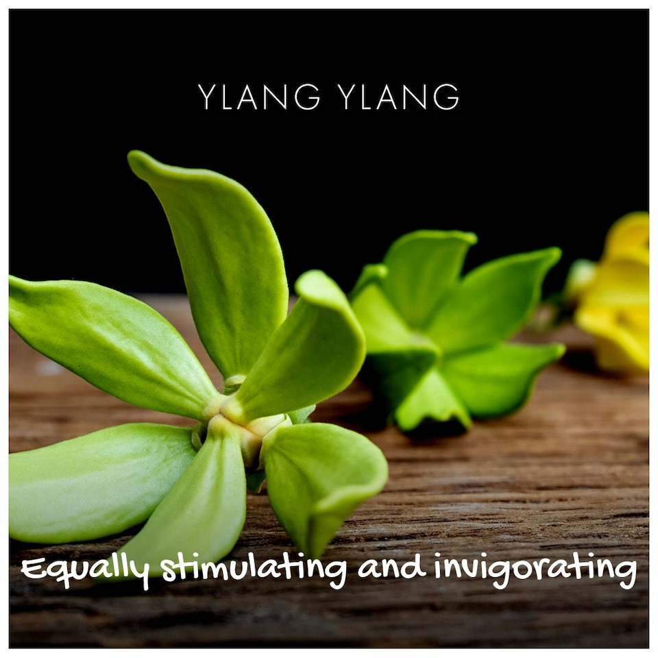 image 1 of Friendly Soap - Natural Ylang Ylang Soap - 95g