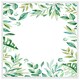 image 1 of Light botanical leaves (Picture Frame) White | XL
