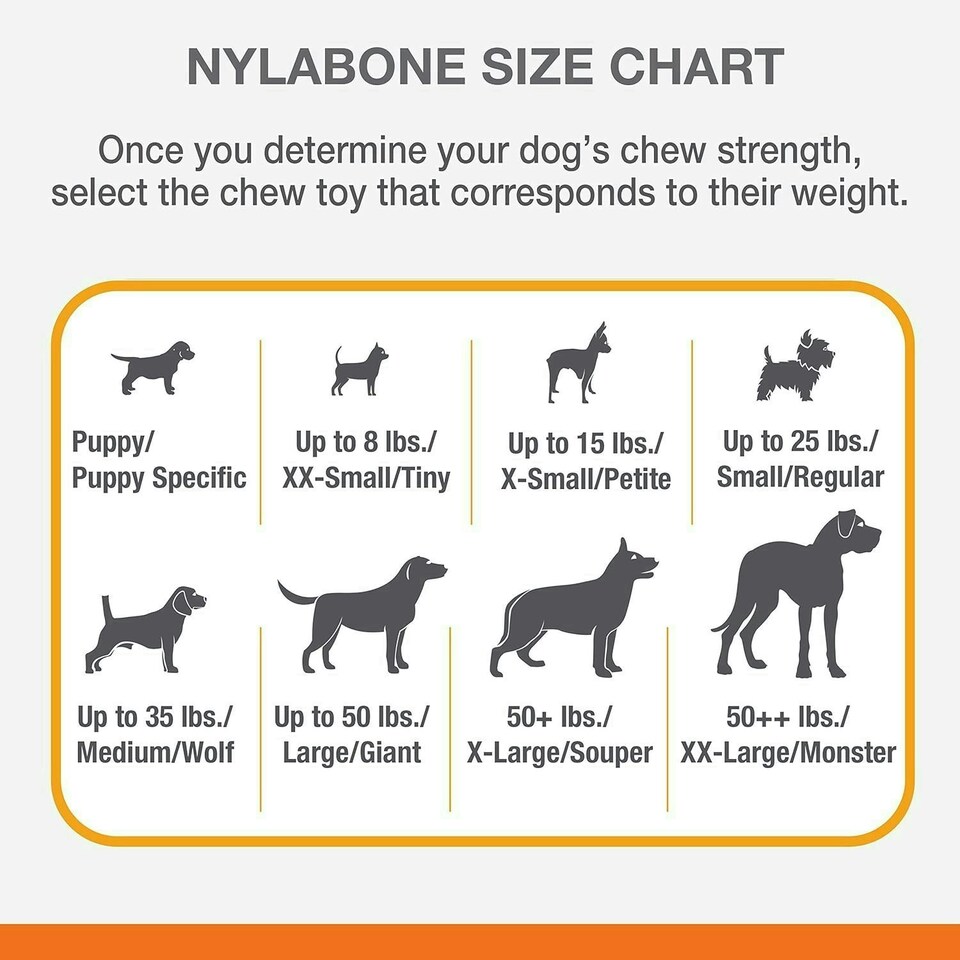 image 1 of Nylabone Extreme Tough Dog Chew Toy Bone, Durable, Cleans Teeth, Flavour Medley, Medium, for Dogs Up to 16 kg