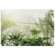 image 1 of Green plants in botanical gardens (Rug) Green | XL