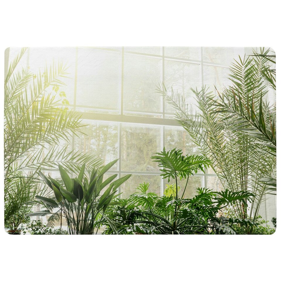 image 1 of Green plants in botanical gardens (Rug) Green | XL