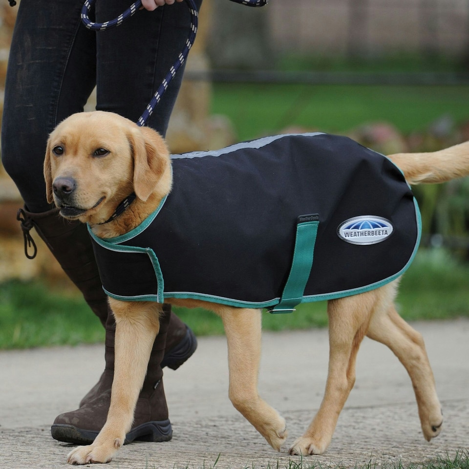 image 1 of Weatherbeeta Green-Tec Midweight Dog Coat - Black/Bottle Green - 25cm