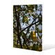 image 1 of leaves and branches (Canvas Print)