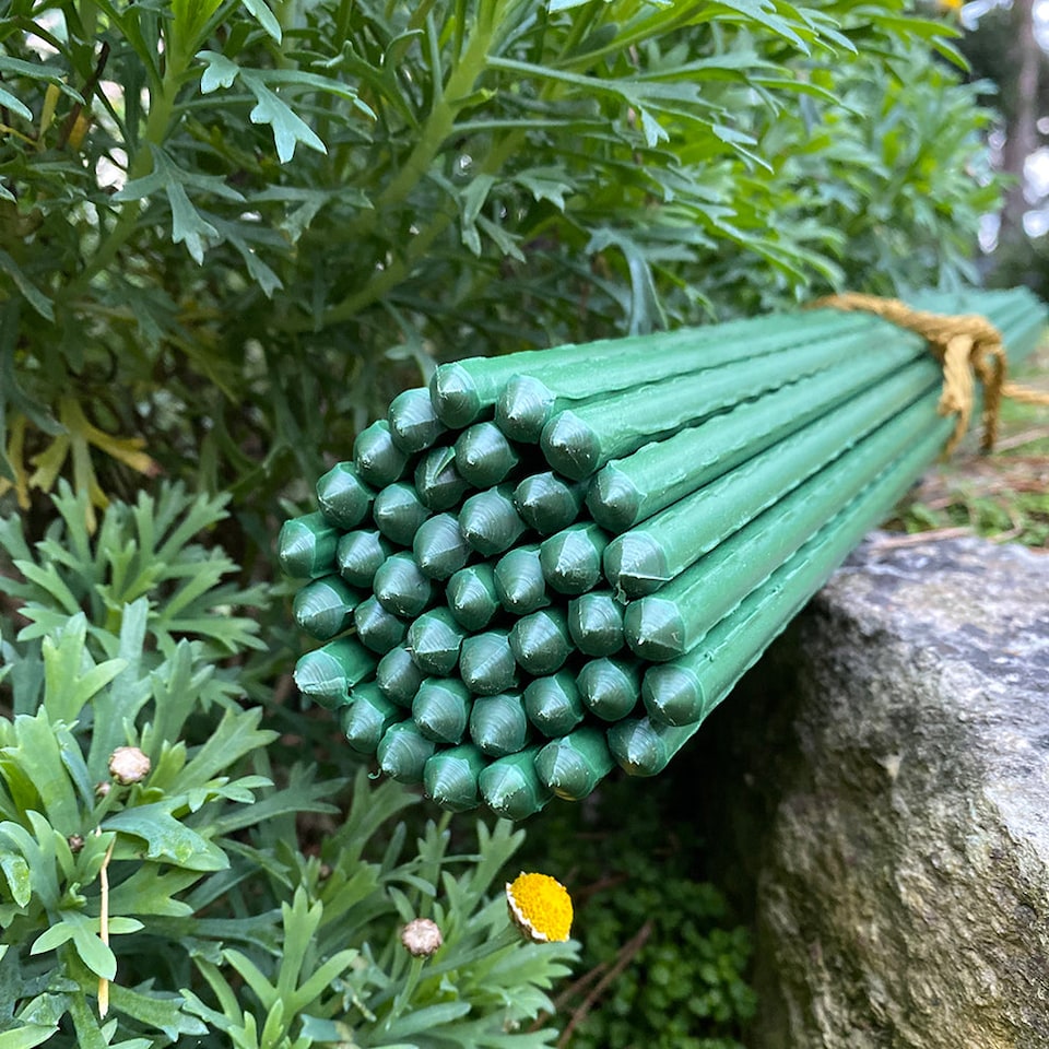 image 1 of Plastic Coated Metal Garden Plant Support Sticks (60cm) - Pack of 40