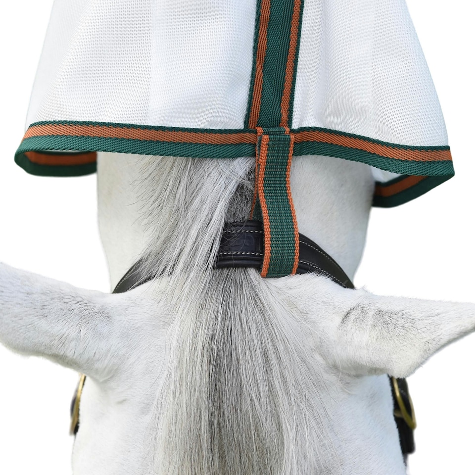 image 1 of Weatherbeeta Comfitec Tyro Combo Neck Horse Fly Rug - White/Green/Burnt Orange - 6´ 9"