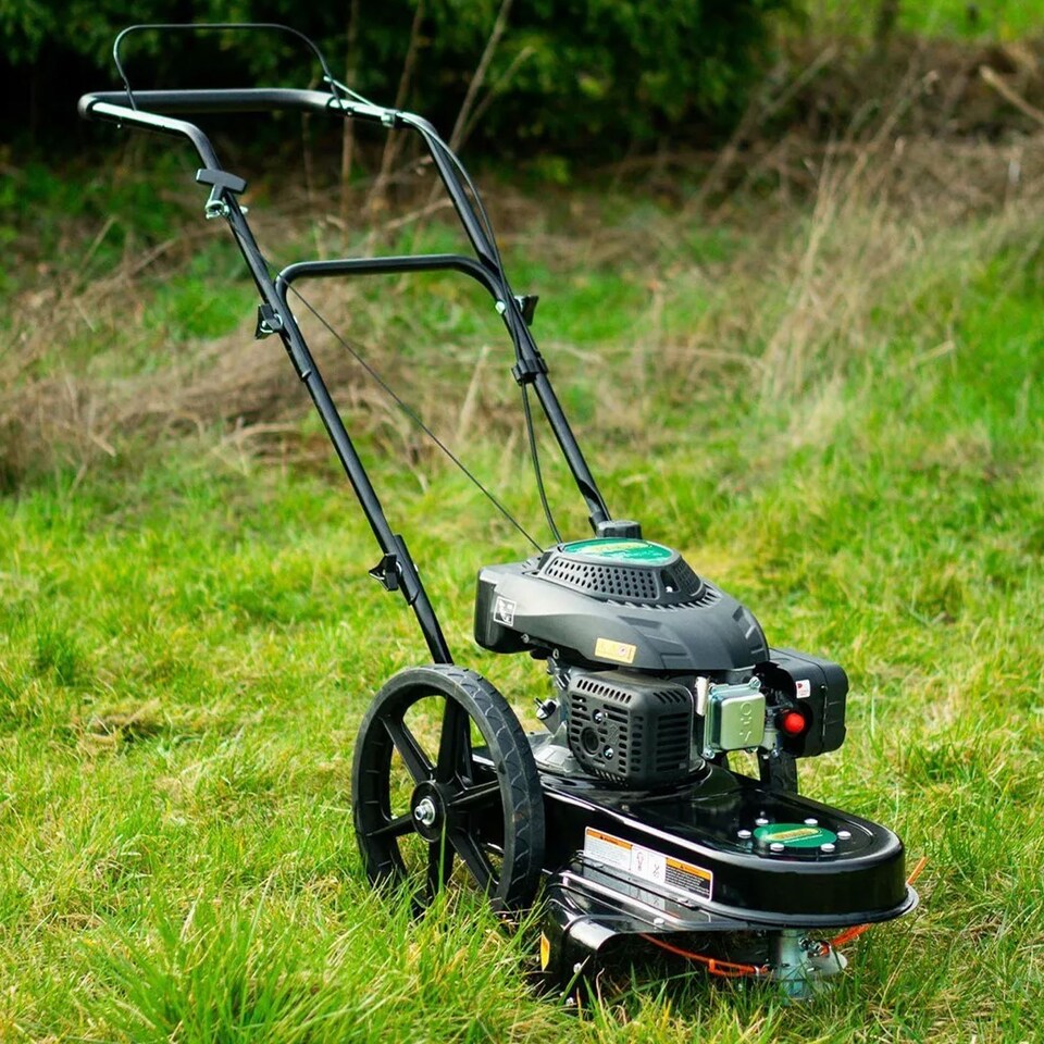image 1 of Webb 161cc 56cm Petrol Wheeled Line Trimmer