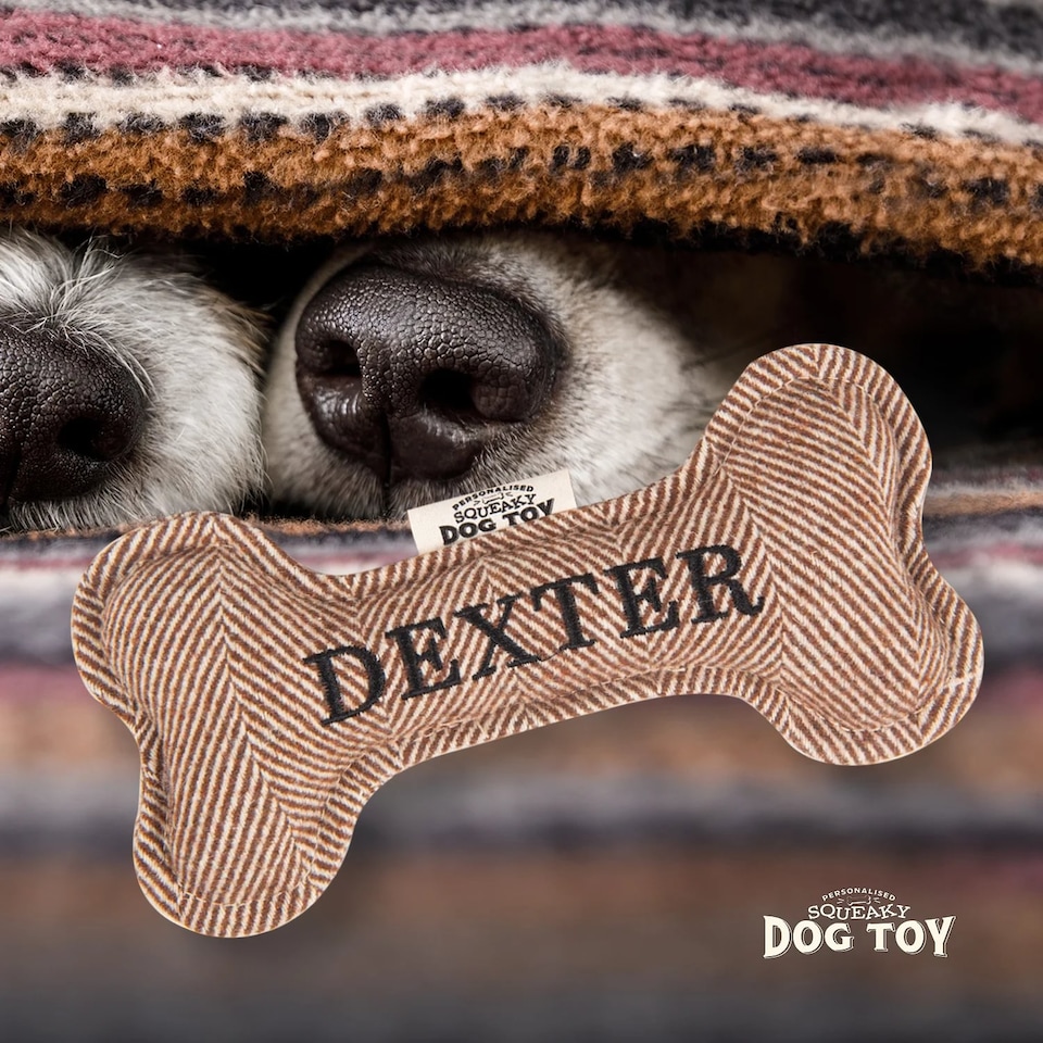 image 1 of History & Heraldry Pre-Personalised Squeaky Bone Dog Toy - Dexter