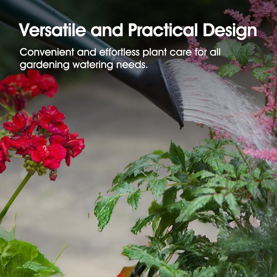 image 1 of 6L Black Watering Can With Detachable Sprinkler Rose