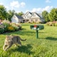 image 2 of Outsunny Cat Repellent for Gardens, Solar Ultrasonic PIR Fox Cat Deterrent | Green | Green | 14 x 9.2 x 37 cm