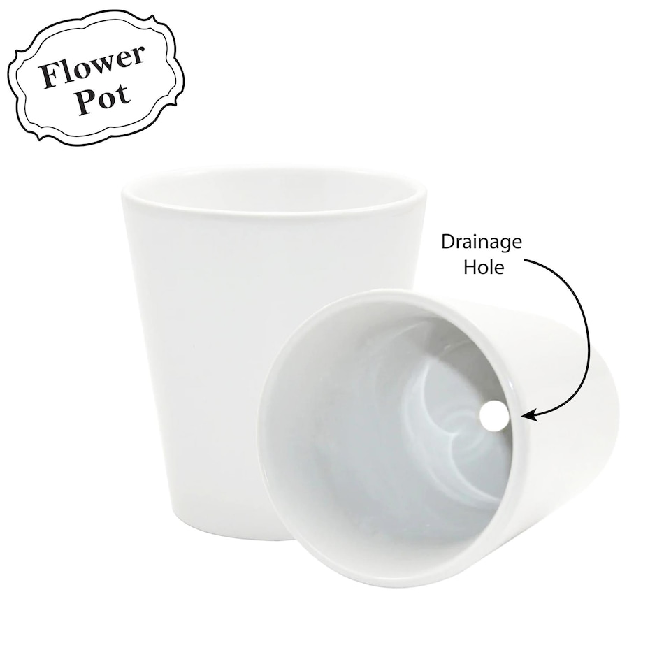 image 1 of Minimalist Design Small Ceramic Parsley Plant Pot