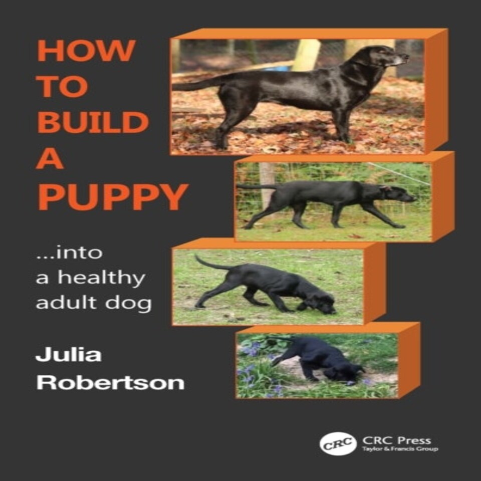 Robertson - How To Build A Puppy