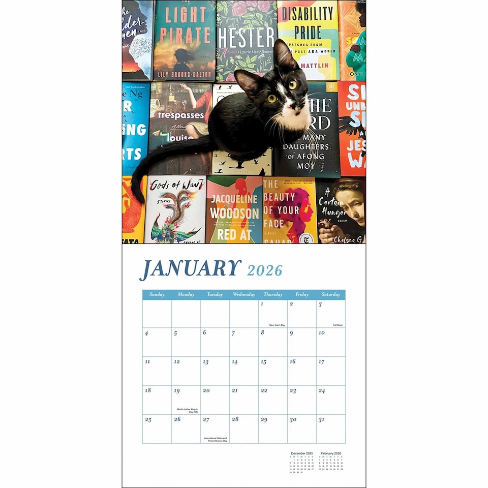 image 1 of Cats & Books Calendar 2026, Wall Calendars, Month To View, History & Literature, Gift
