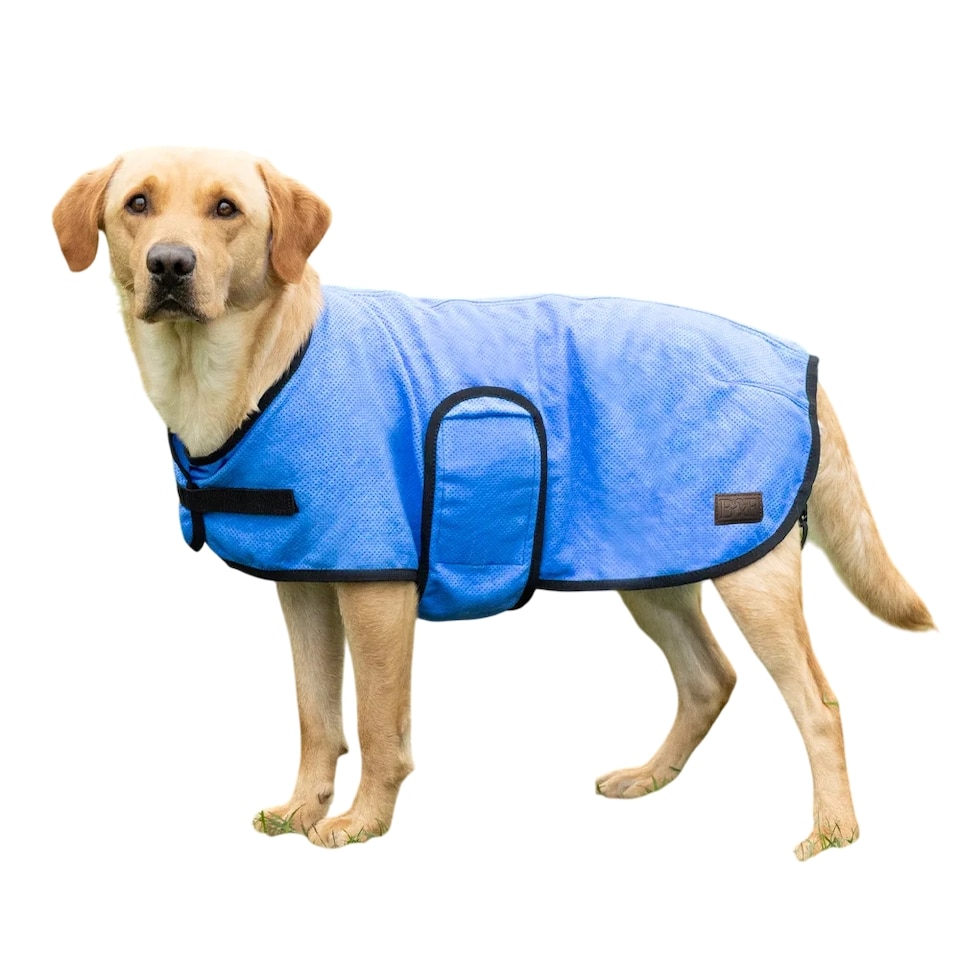 image 1 of Benji & Flo Dog Cooling Coat | Blue | Blue | M | 1
