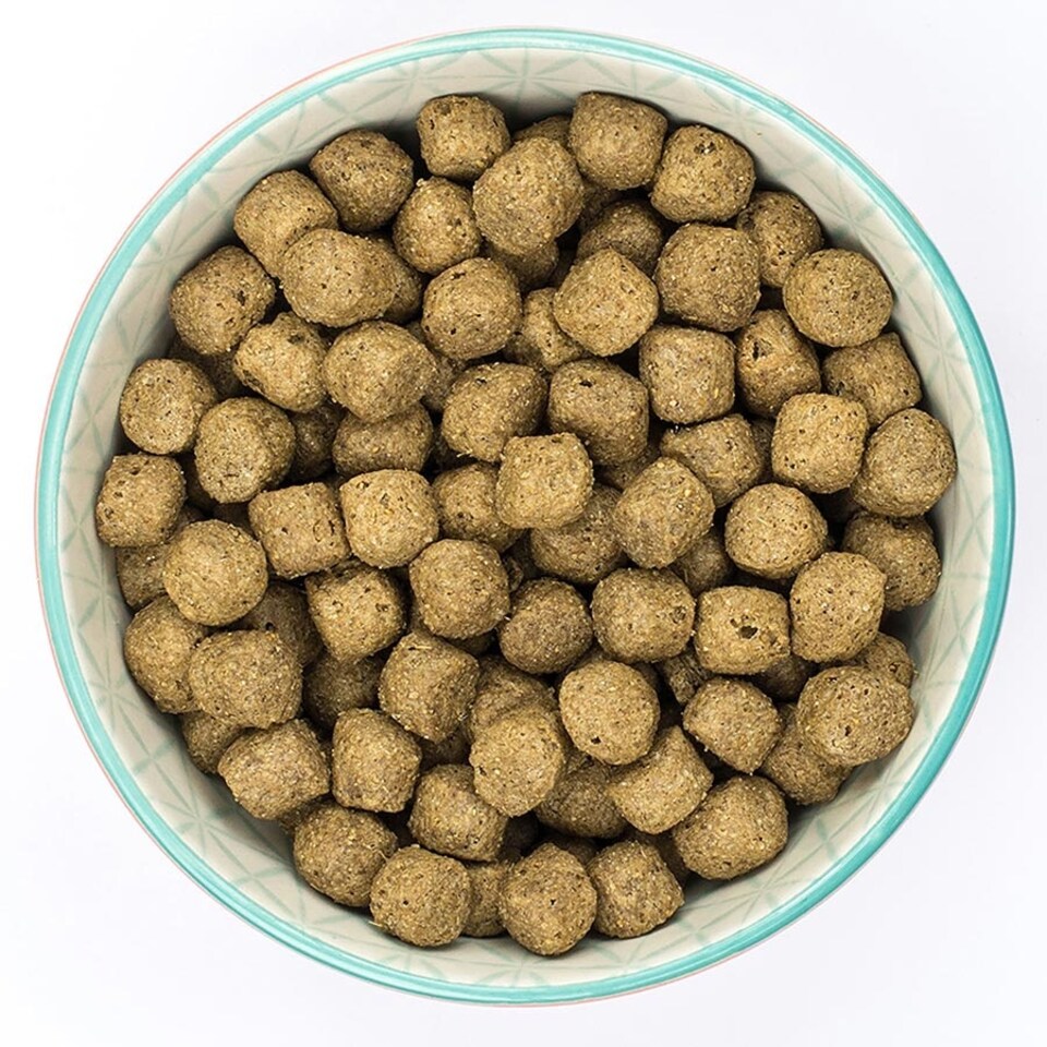 image 1 of Burns Original Fish & Brown Rice Hypoallergenic Low-Fat Adult & Senior Dry Dog Food - 12 kg