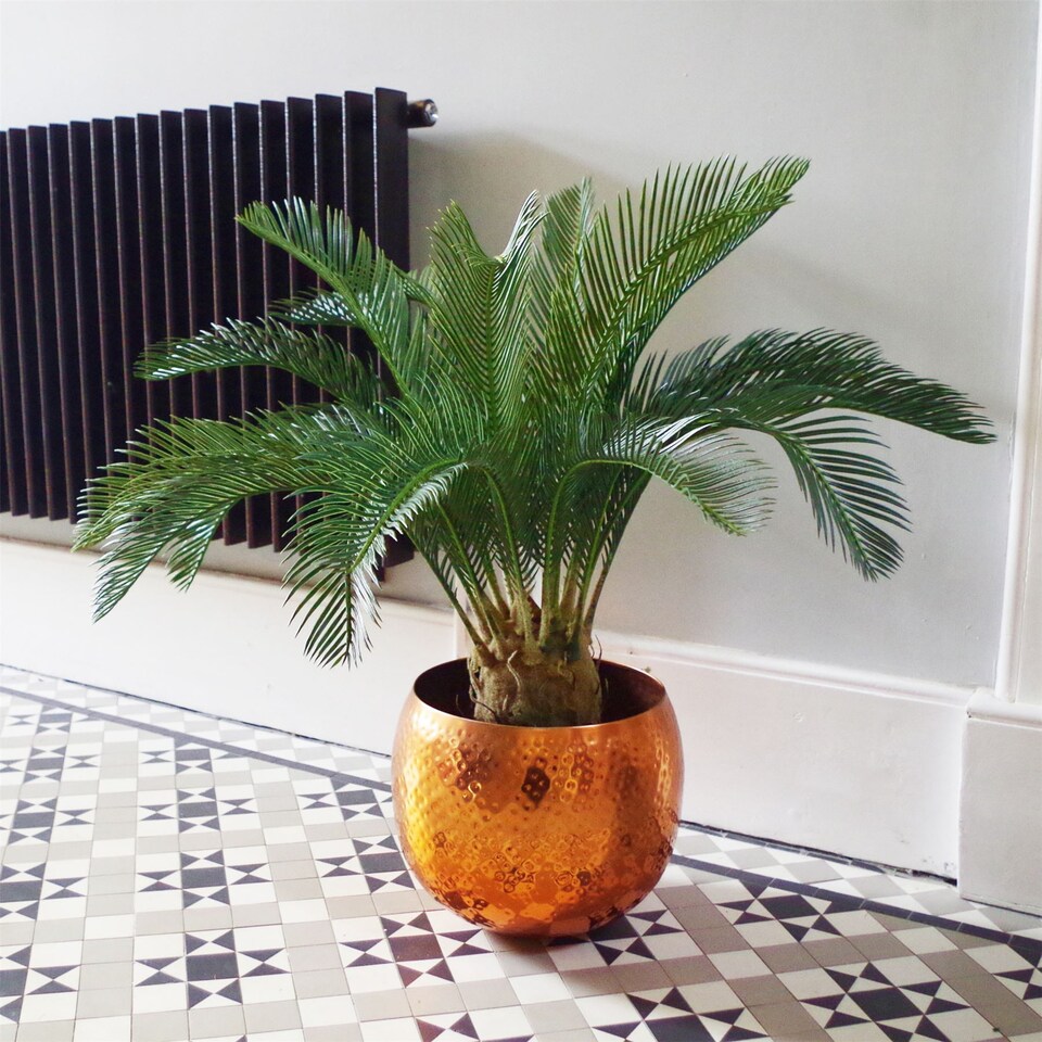 image 1 of Large Artificial Palm Tree 80cm Cycas Realistic Plant Leaf Design UK Botanik | Green | 2ft