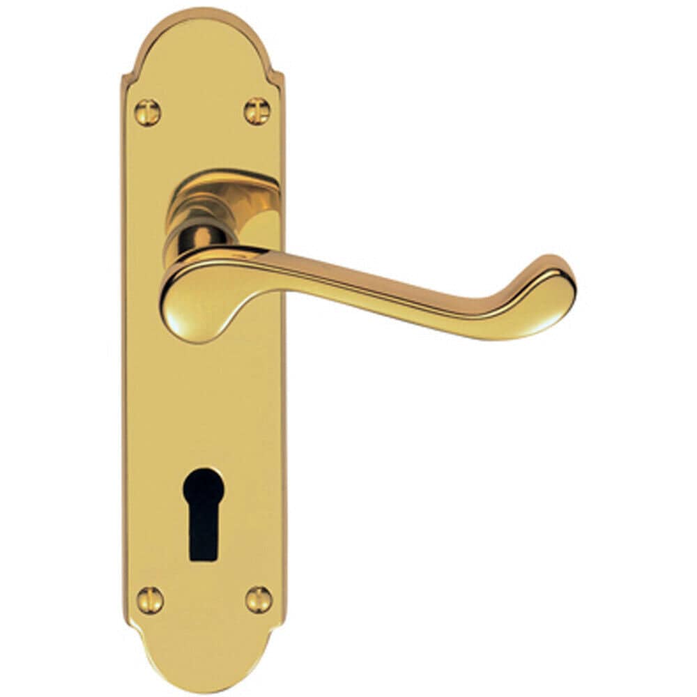 Loops PAIR Victorian Upturned Handle on Lock Backplate 170 x 42mm Polished Brass in Metallics