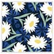 image 1 of Daisies on navy (Picutre Frame) White | XL