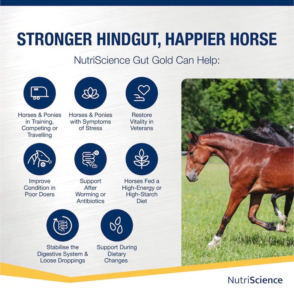 image 1 of NutriScience Horse Gut Gold Supplement Digestive Aid Probiotic Powder Ulcer Support Performance 4.5kg