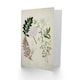 image 2 of Sarah Featon Art Card New Zealand Ligosticum Latifolium Flowers