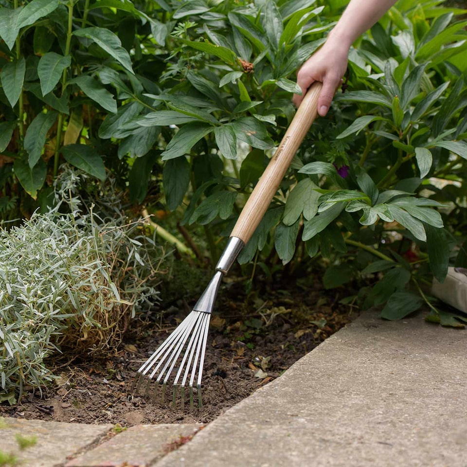 image 1 of Kent & Stowe Stainless Steel Border Hand Shrub Rake
