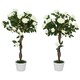 image 6 of Outsunny Set of 2 90cm Artificial Rose Tree, Fake Decorative Plant, White