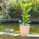 image 5 of Nicola Spring Hand-Printed Plant Pot with Saucer - 20.5cm - Orange