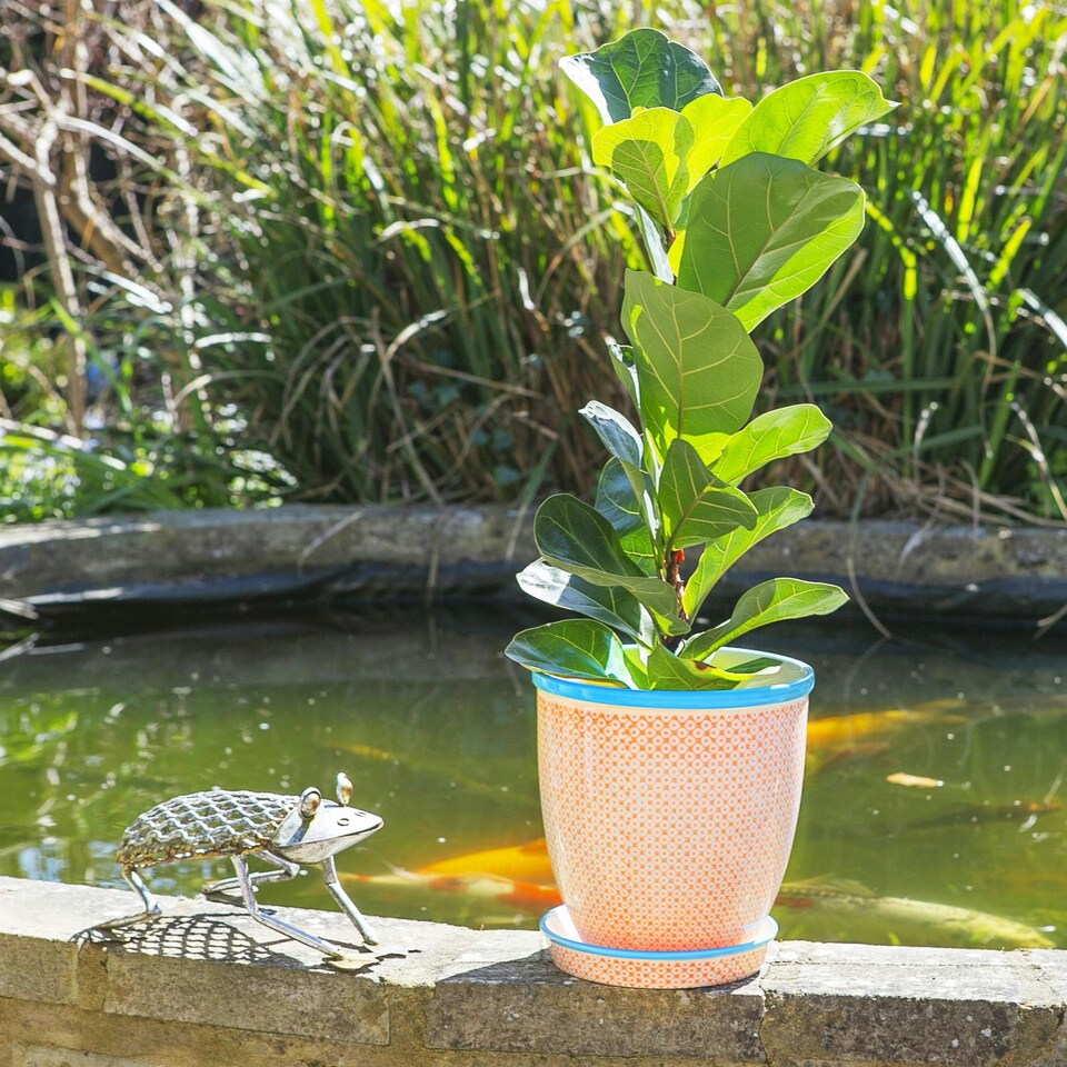 image 1 of Nicola Spring Hand-Printed Plant Pot with Saucer - 20.5cm - Orange