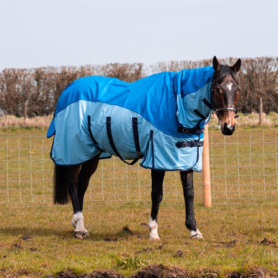image 1 of eQuitack 600D 2 in 1 Waterproof Fly Turnout Mesh Horse Rug Fixed Neck Blue/Light Blue 5'6''
