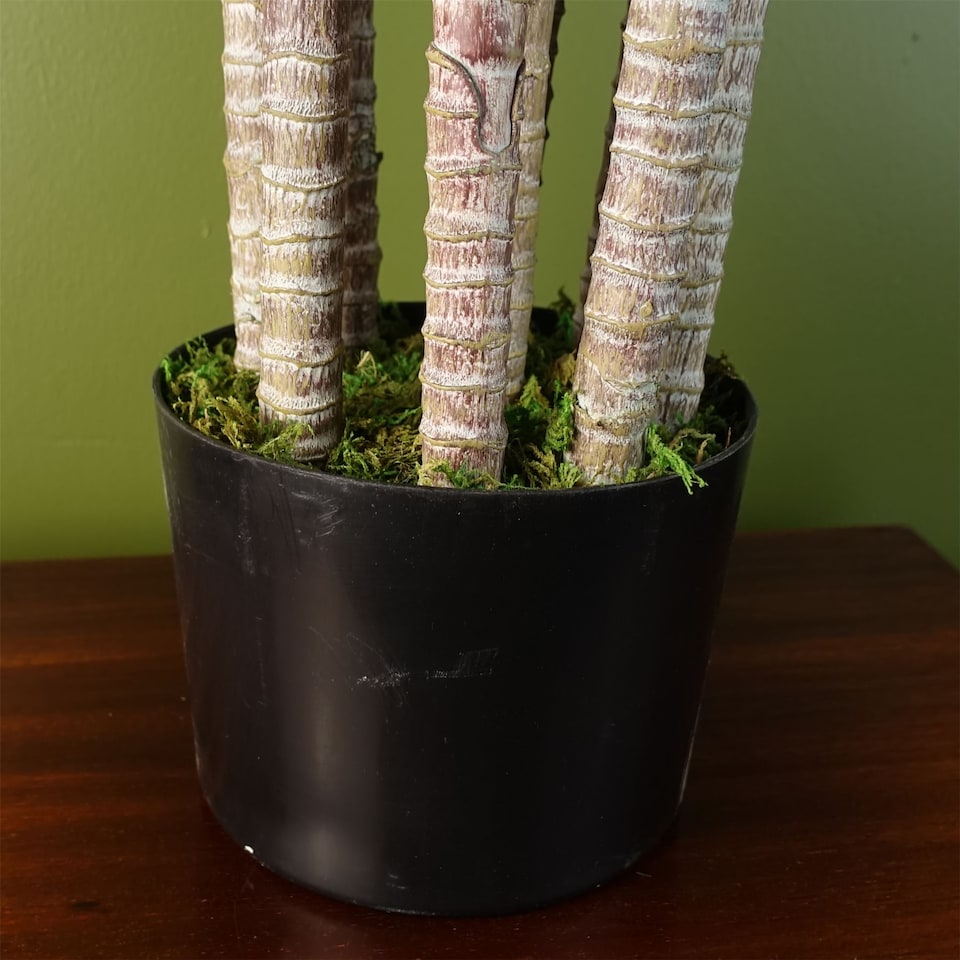 image 1 of Artificial Large Plant Shrub Green Jade 75cm Tall Botanik | Green | 2ft