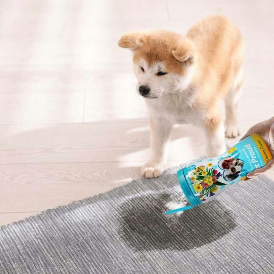 image 1 of Airpure Pet Proud Freshens Carpets Rug Freshener Elimainates Odours 500g Powdwe
